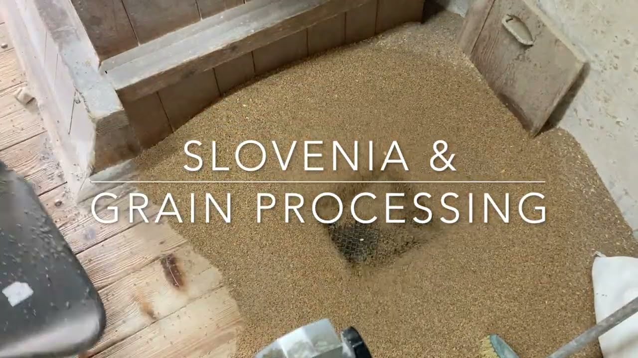 Mlin Ko&scaron;ak & Grain Processing