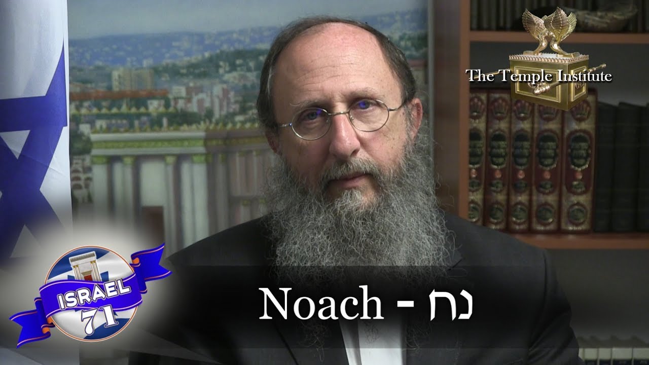 Weekly Torah Portion: Noach