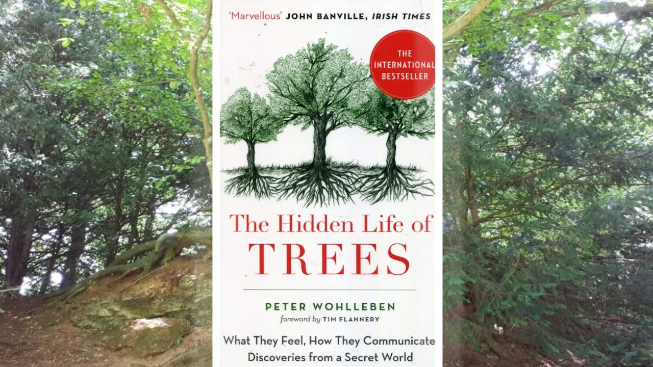 The Hidden Life Of Trees - REVIEW: It Changed My View Of Nature Forever
