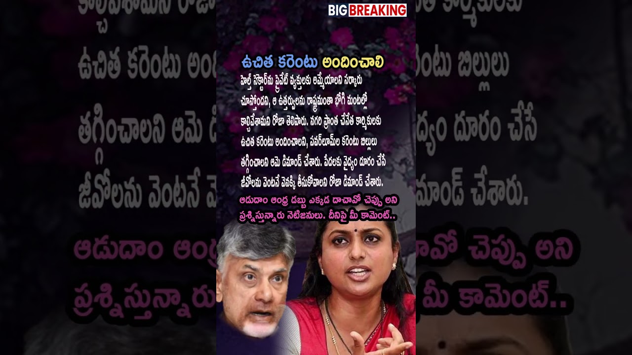 AP POLITICS: Roja Slams Government Over Healthcare Privatization and Weaver Issues
