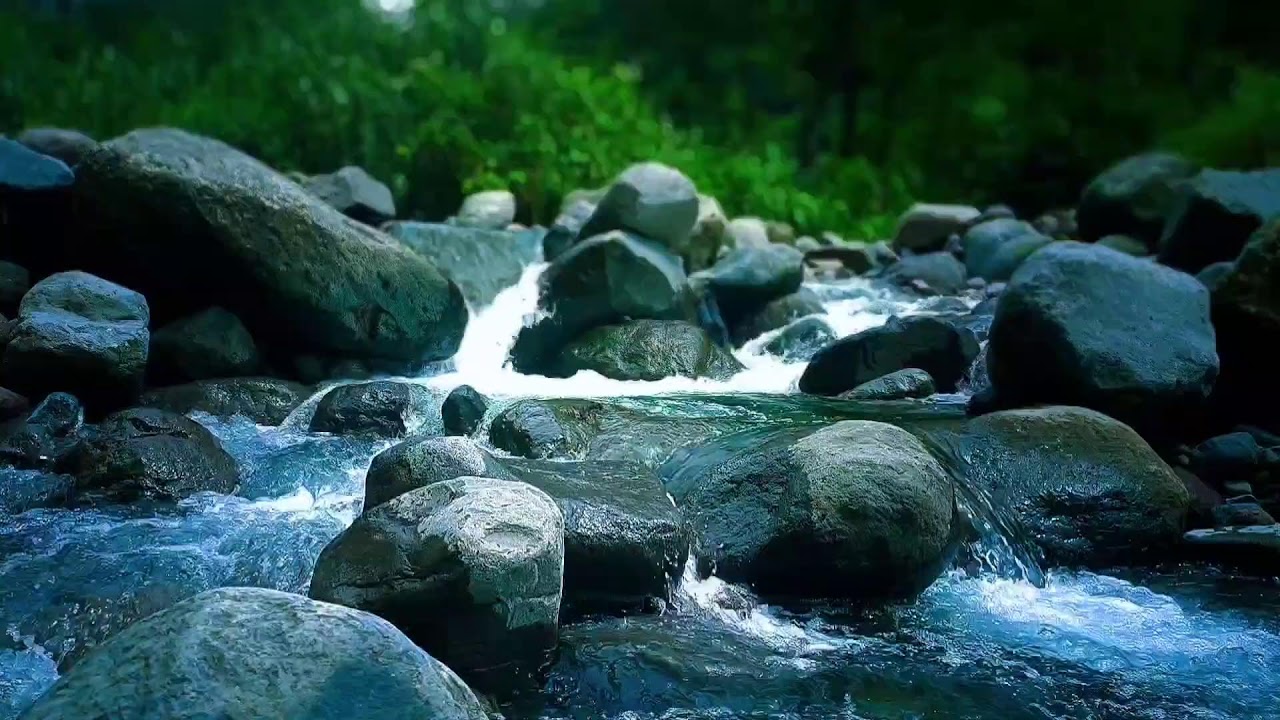 🍃 Slow Flowing River ASMR Sounds for Anxiety Relief & Peaceful Sleep