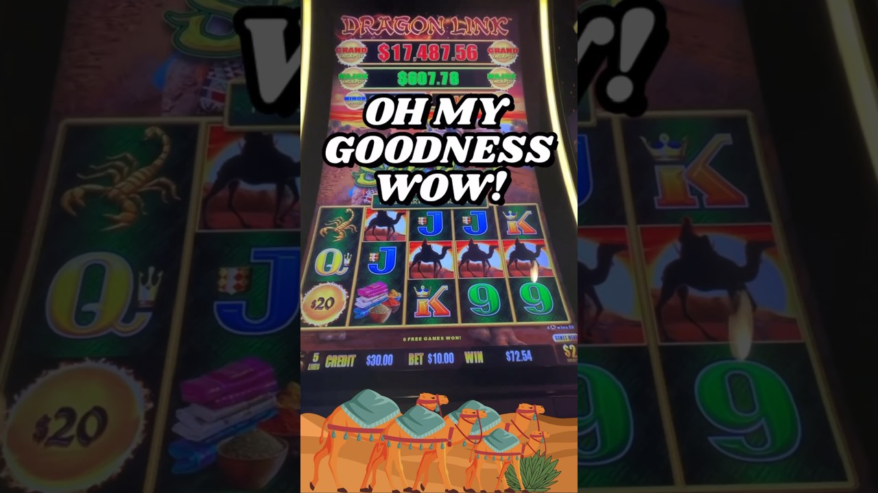 AMAZING WIN 🔥 Dragon Link Silk Road! #slots #casino #youtubeshorts