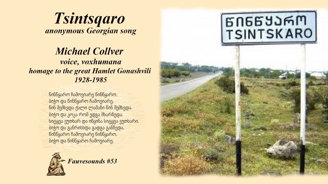 FS53 Georgian Tsintskaro