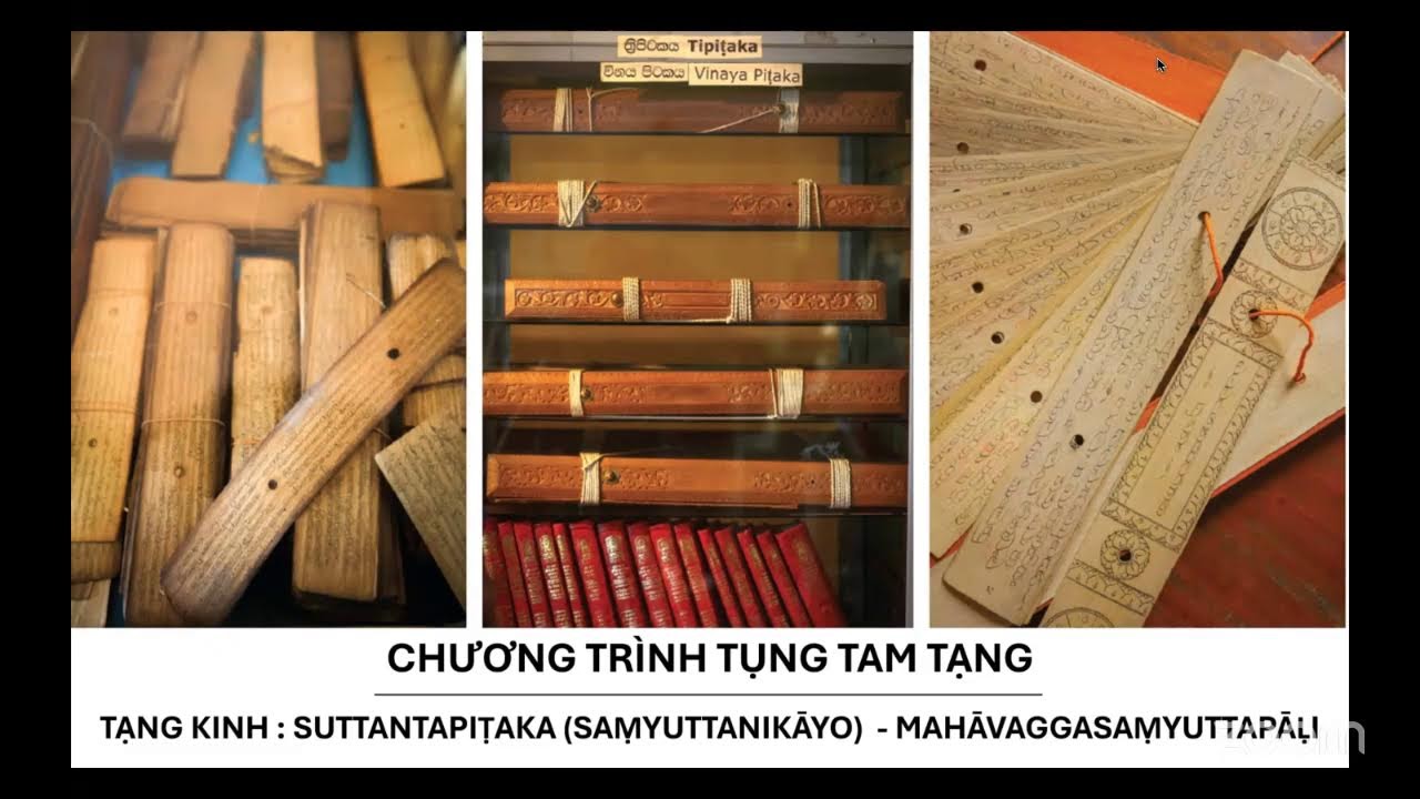 TAM BINH AN GROUP