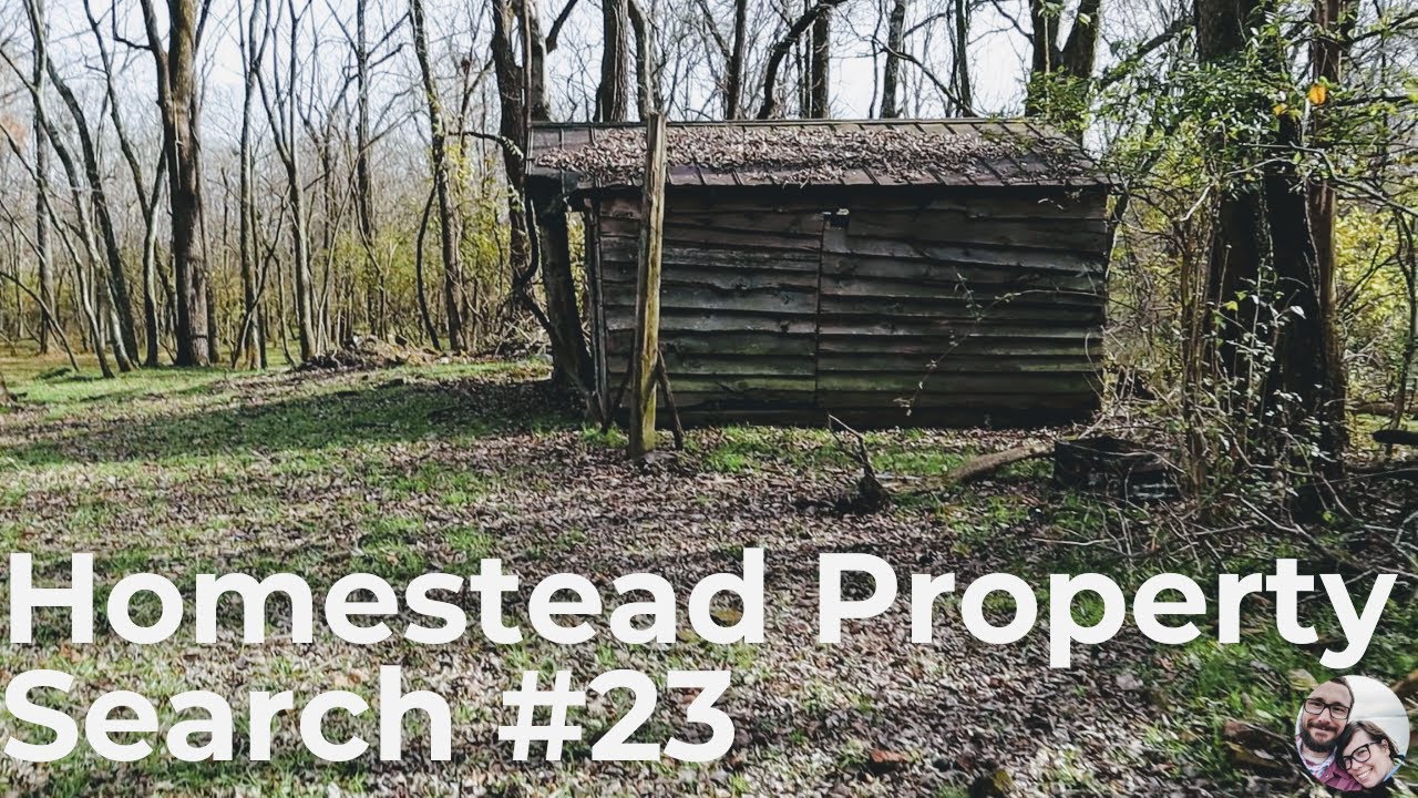 Homestead Property Search in Eastern Tennessee | Property Search Vlog #23