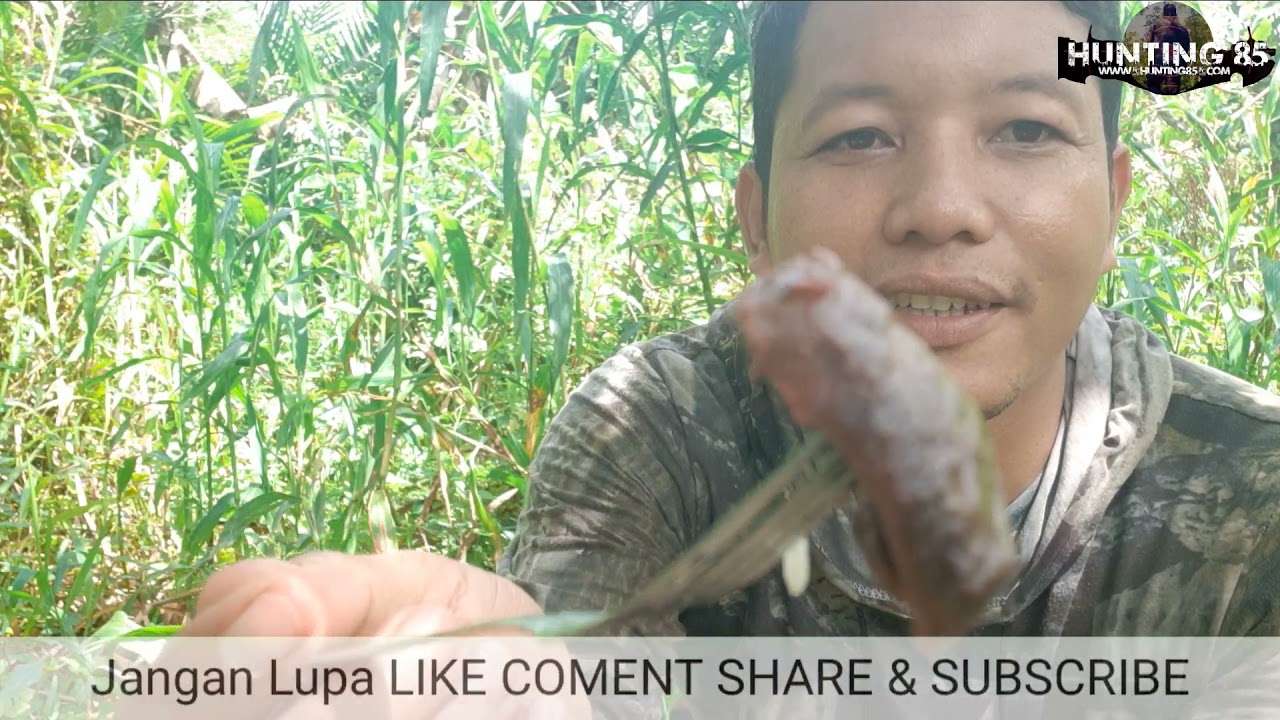 HUNTING BURUNG PERGAM LANGSUNG MASAK DAN MAKAN DI TEMPAT BERBURU, MANTAPPP...