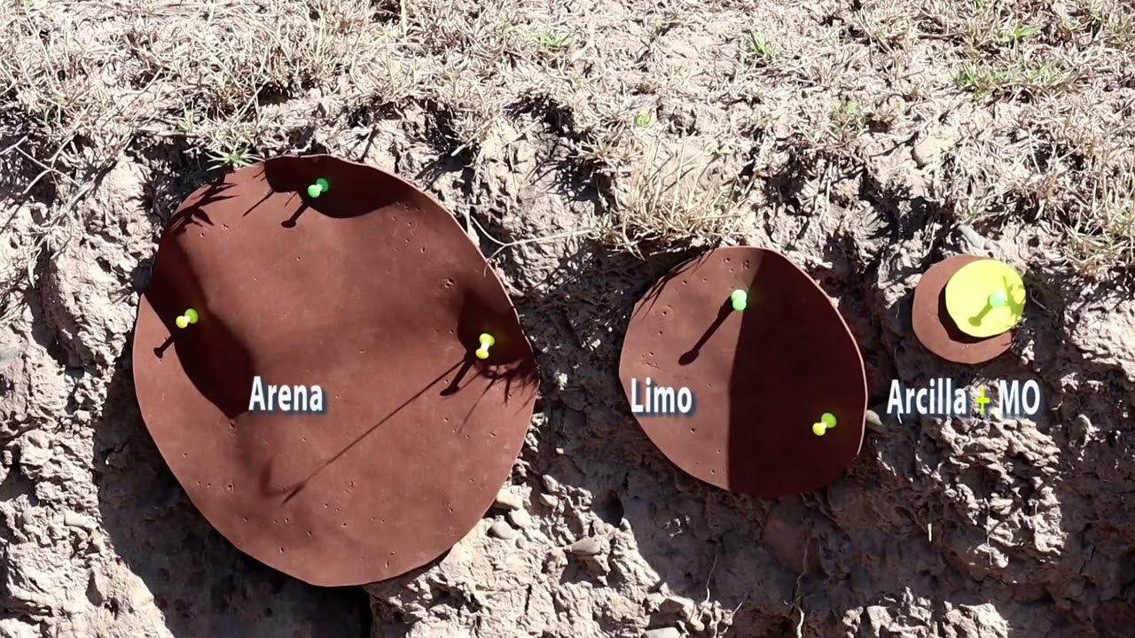 Características de los suelos del Valle de Lerma
