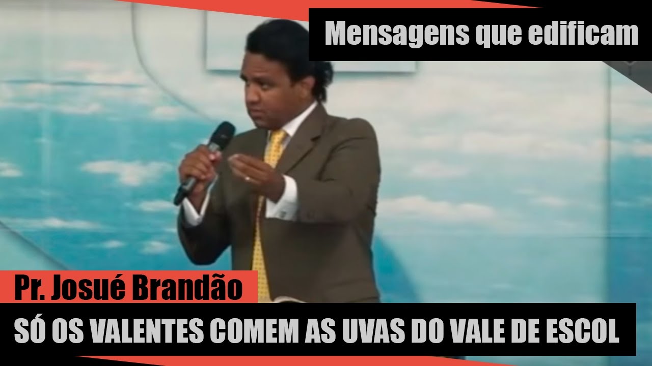 Só os Valentes comem as uvas do Vale de Escol