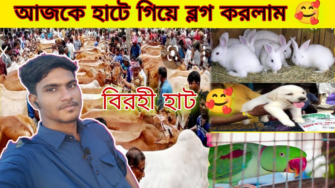 আজকে বিরহী হাট ঘুরে দেখলাম 🥰।Birohi Hat।@sauravjoshivlogs3057 @BongRonOfficial