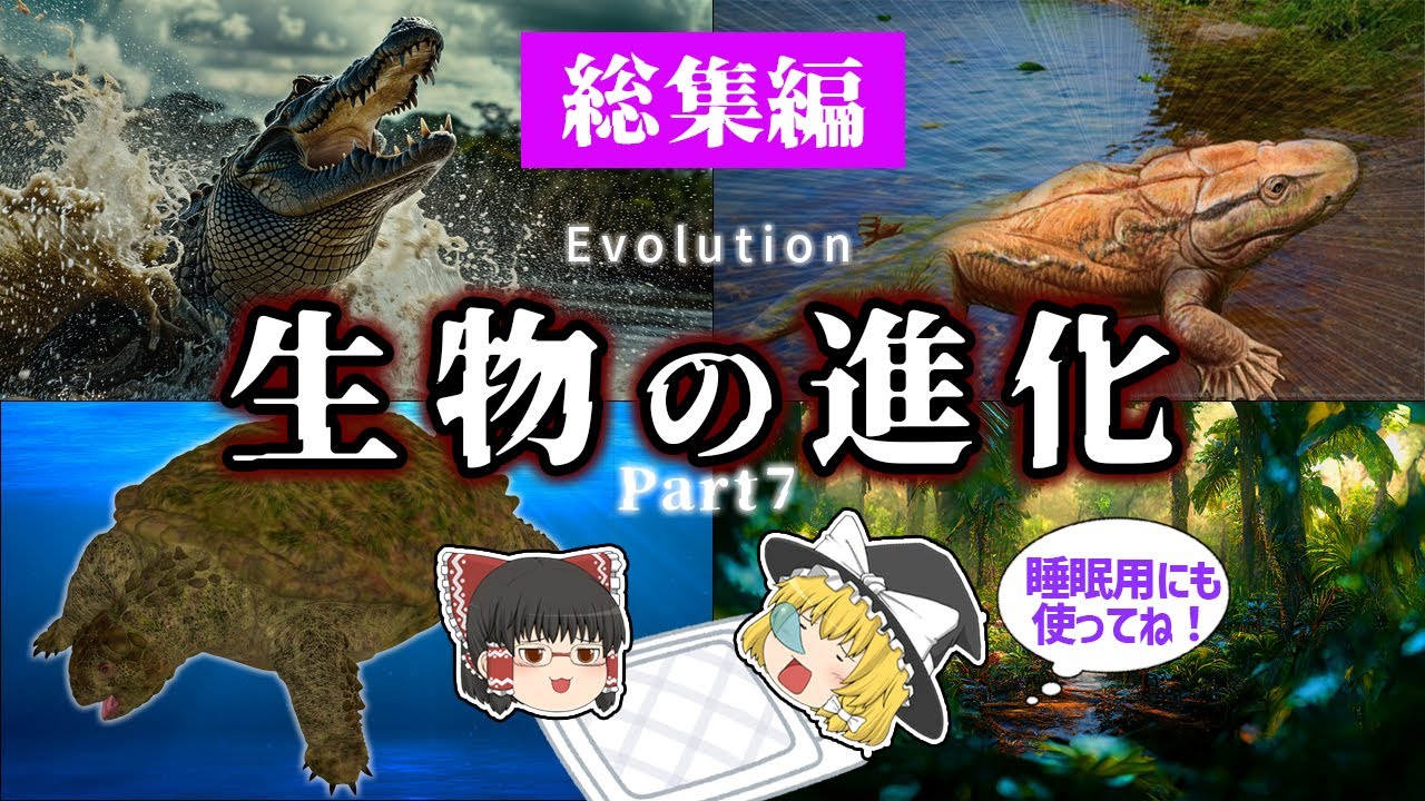 【睡眠用・ゆっくり解説】生物の進化 Part.7　植物/魚類/ワニなど【広告最初のみ　途中広告なし】