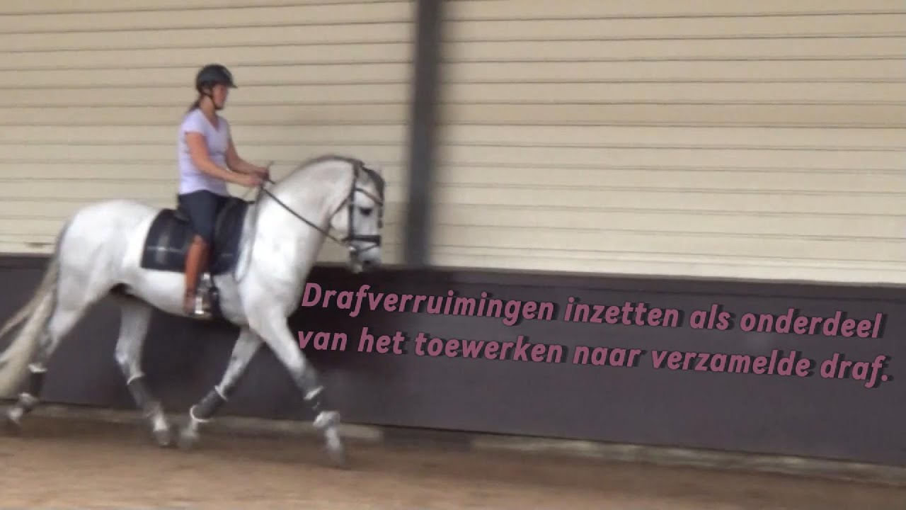 Drafverruimingen inzetten om naar verzamelde draf toe te werken.