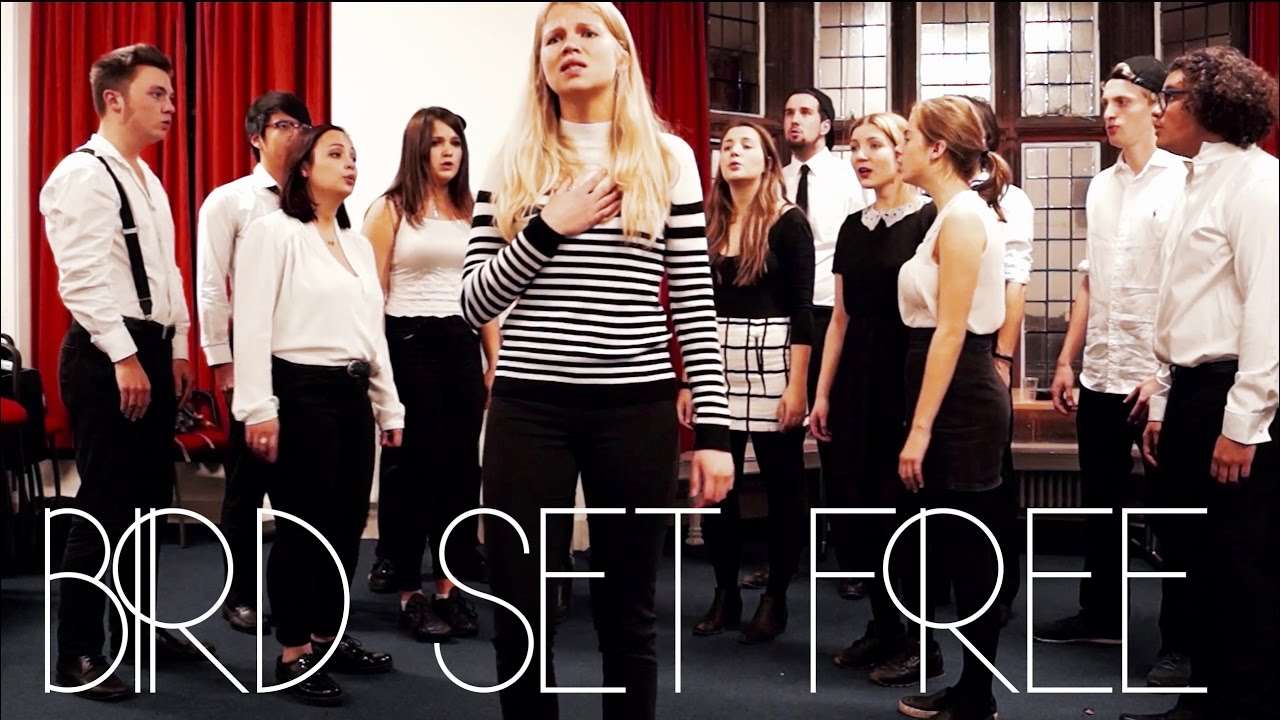 Bird Set Free by Sia - Durham University Northern Lights | A Cappella Cover