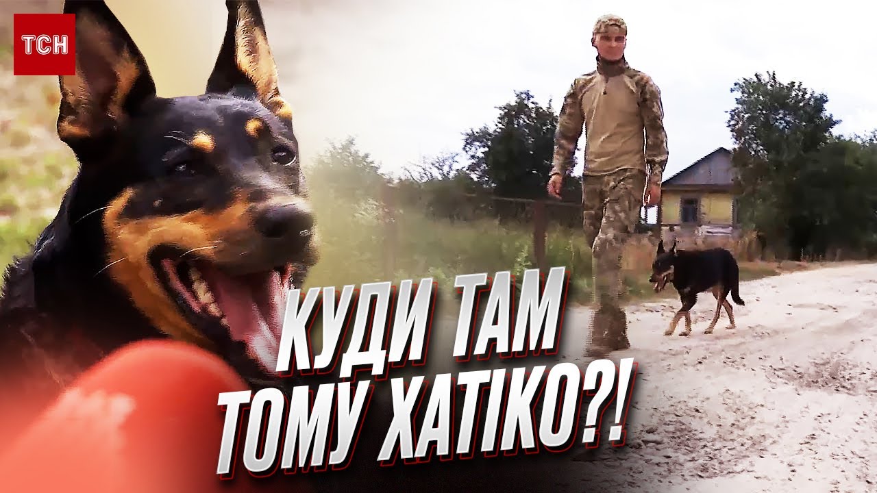 🐕💖 Вірна Жужа врятувала військових від голоду під Бахмутом!