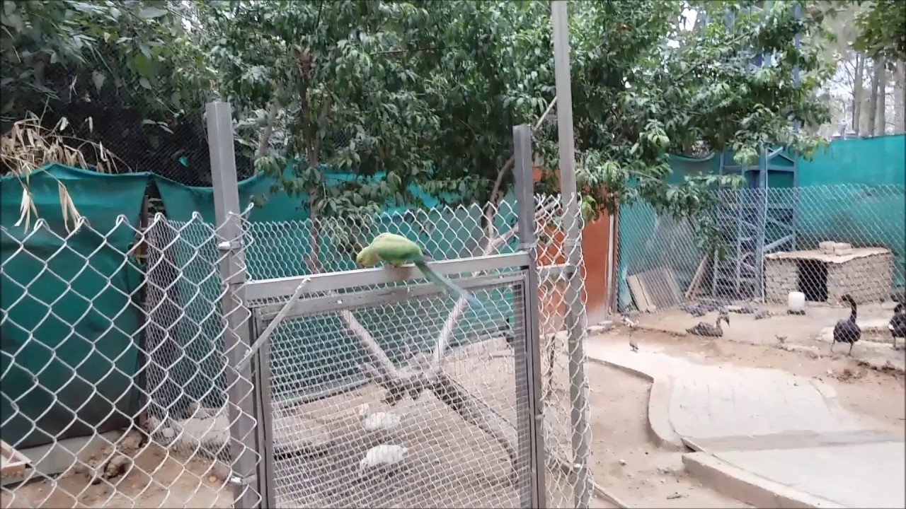 Worlds 3rd Biggest Aviary: Islamabad Pakistan (Lake View Park)
