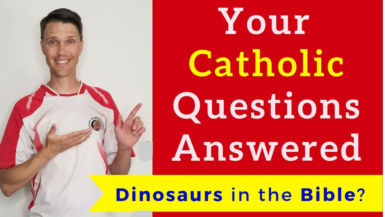 Catholic Questions and Answers (Your questions answered!)
