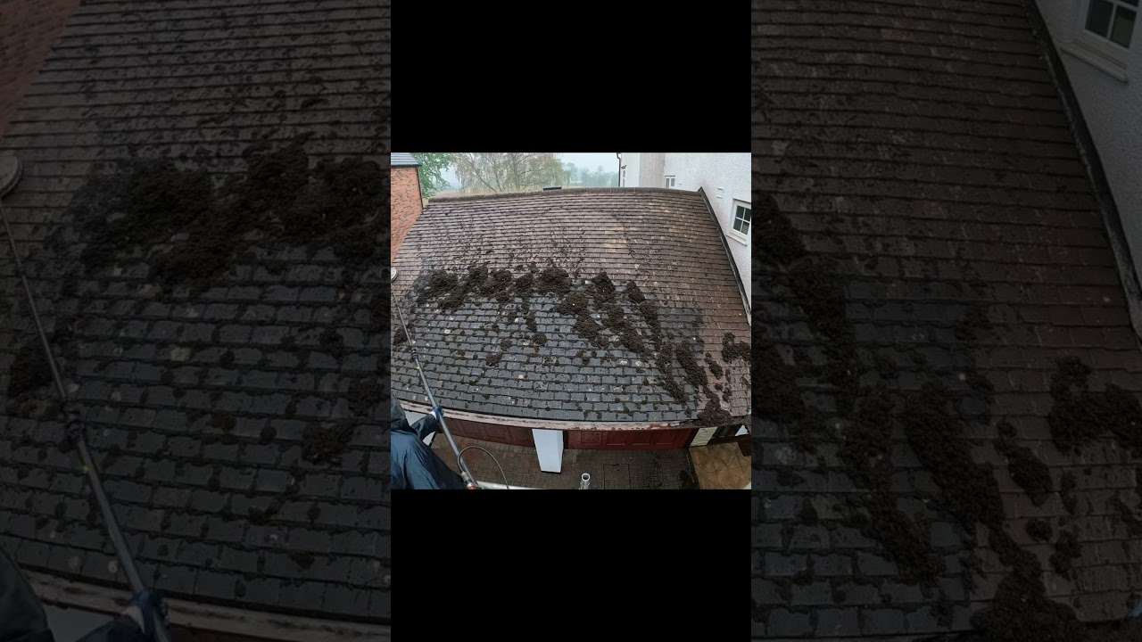Moss Removal in the Rain! What a Transformation! #roofcleaning