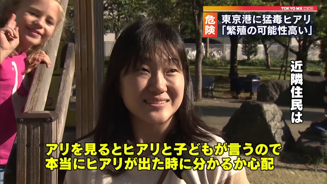 危険！猛毒ヒアリ　東京都内で繁殖の恐れも