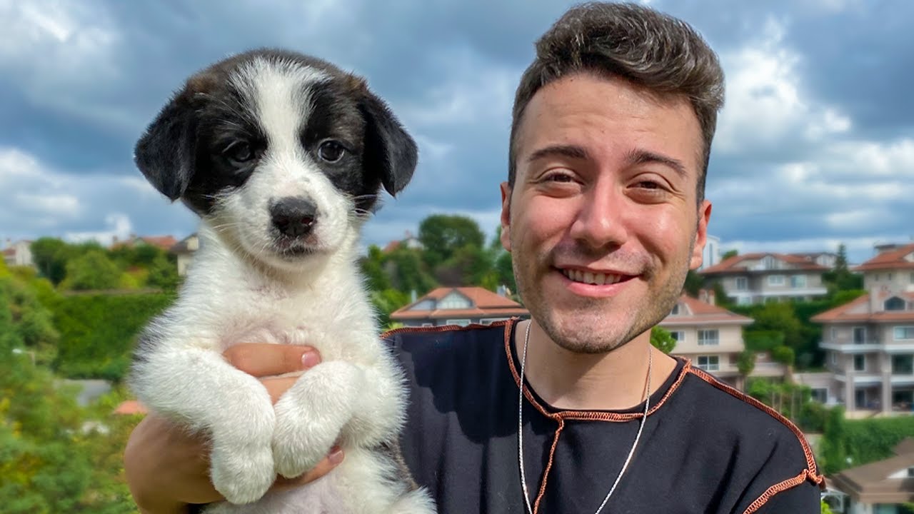 Dünyanın En Zeki Köpeği 🐶