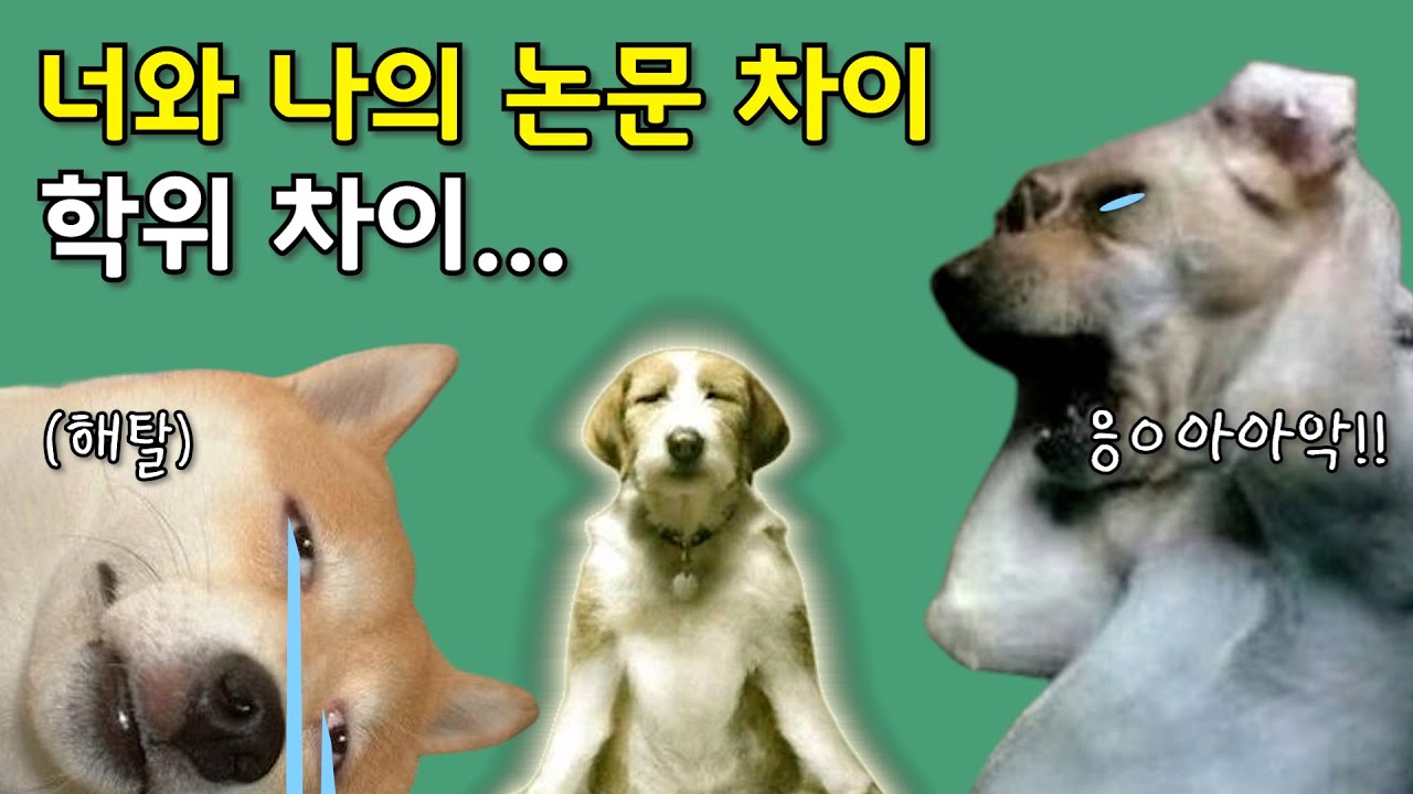 학사, 석사, 박사 논문의 차이점을 알려줄게! 당장 클릭해~