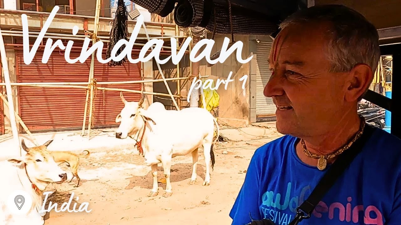 Vrindavan in India - the holy place of Krishna, 5500 temples, cows and dirt | the magic of India