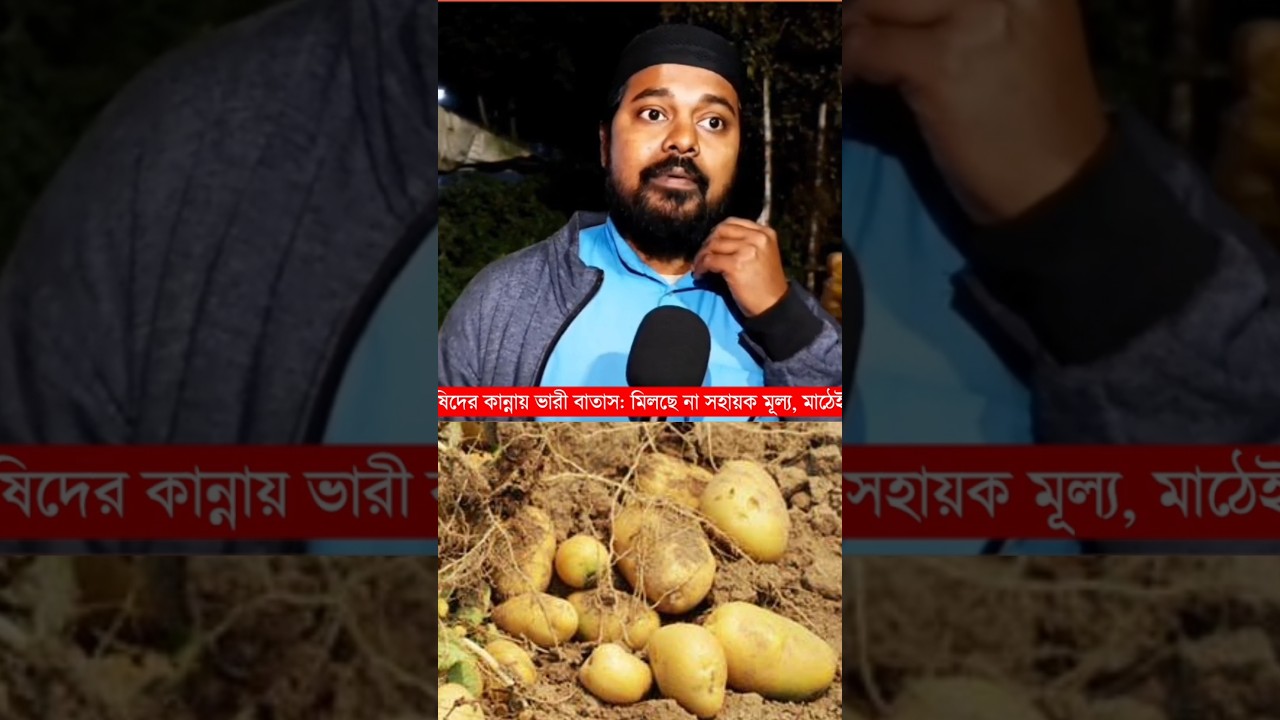 বাংলায় আলুর দাম 5 টাকা.!