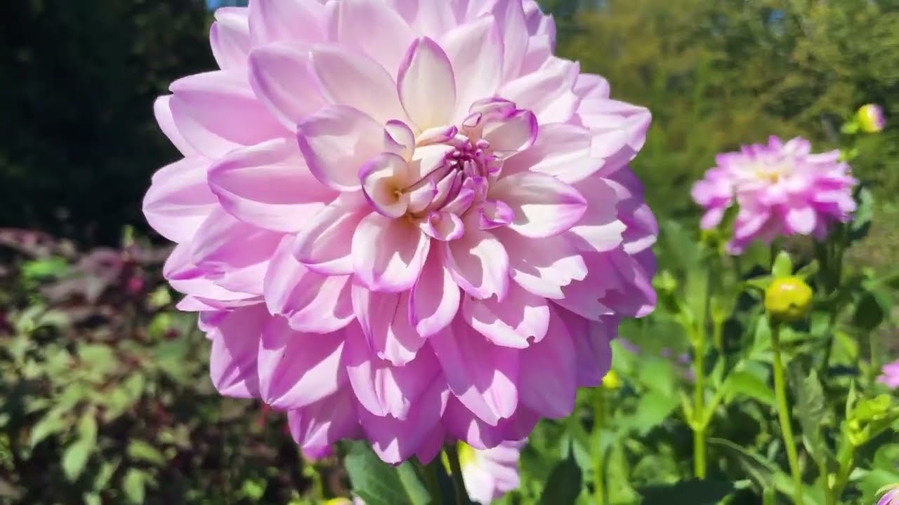 Celebrate Spring at the 38 Gardens in America's Garden Capital