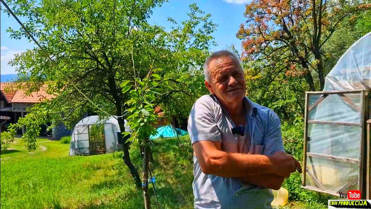 Napravio sam kuća za jedno selo , uzgajam paradajz i dijelim džaba 