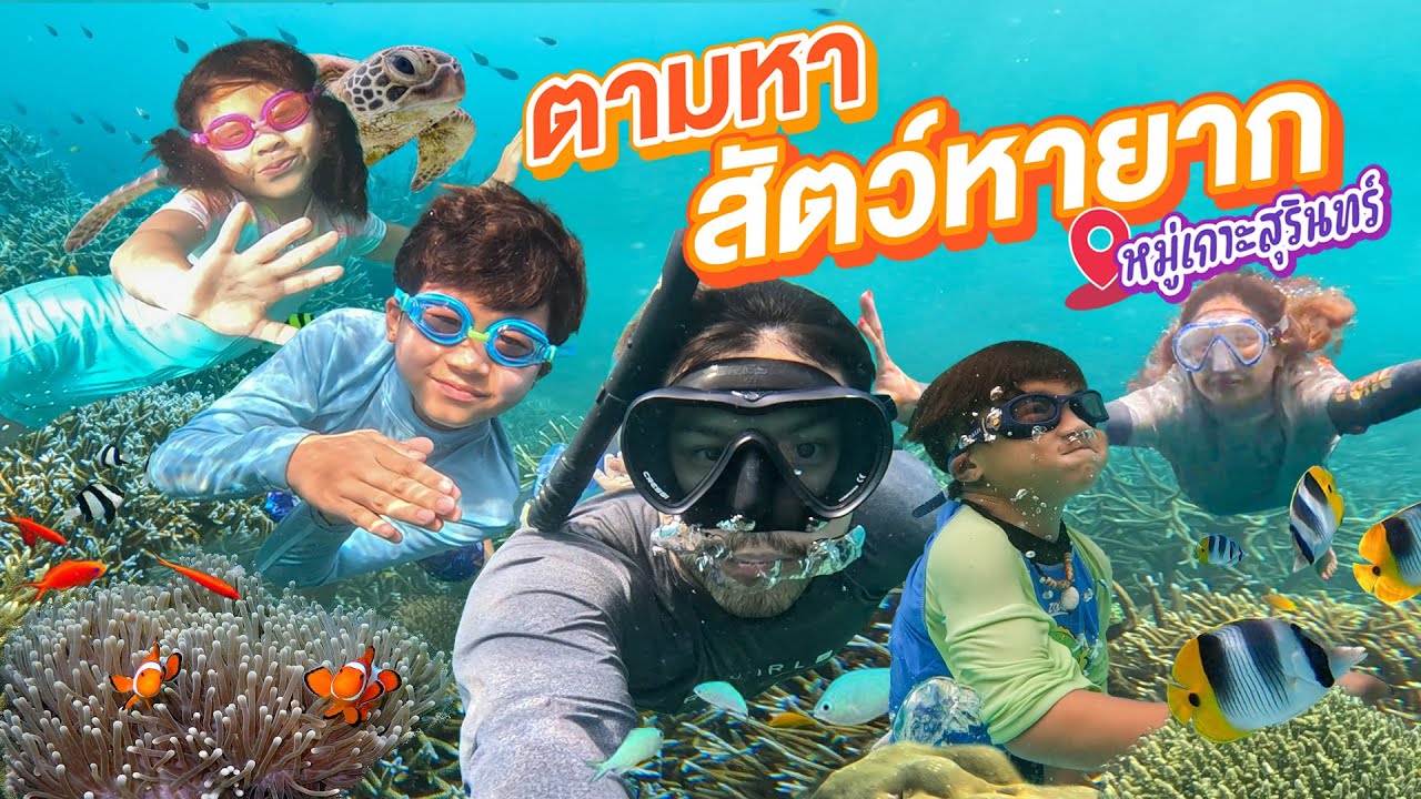 ตะลุยภาคใต้ ภารกิจตามหาสัตว์หายากใต้ทะเล หมู่เกาะสุรินทร์!!  | กุมารTravel EP.288