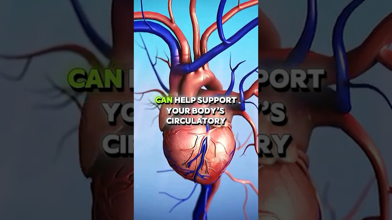 7 Surprising Foods for Healthy Circulation!