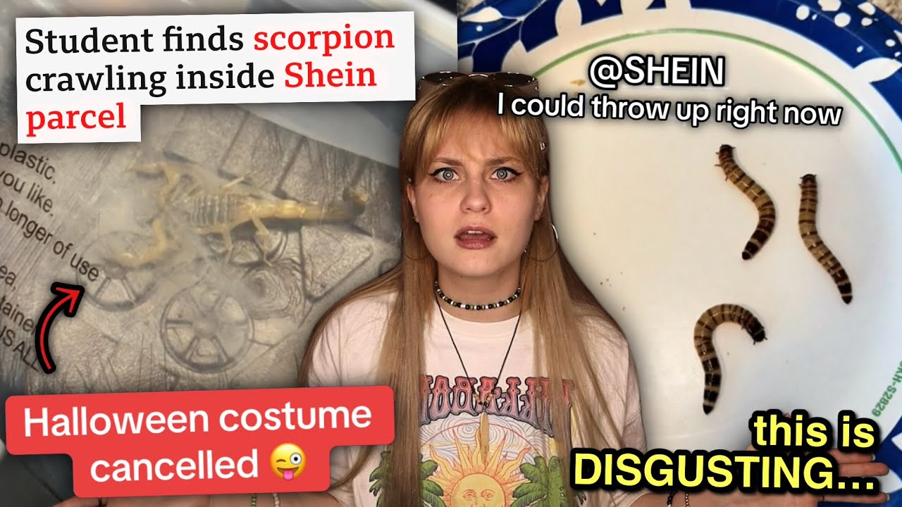TikTok разоблачает Шейна за отправку SCORPIONS в своих посылках…