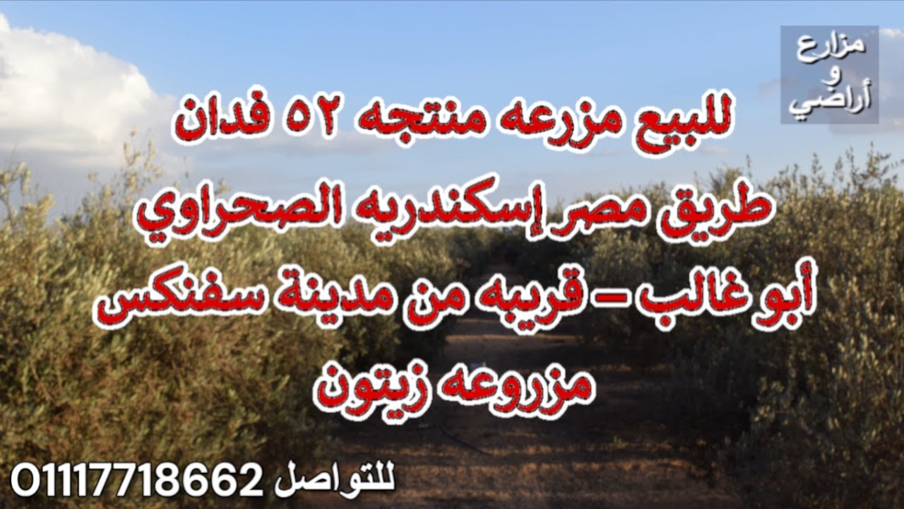 للبيع مزرعه منتجه 52 فدان - طريق مصر إسكندريه الصحراوي - أبو غالب – قرب مدينة سفنكس - مزروعه زيتون