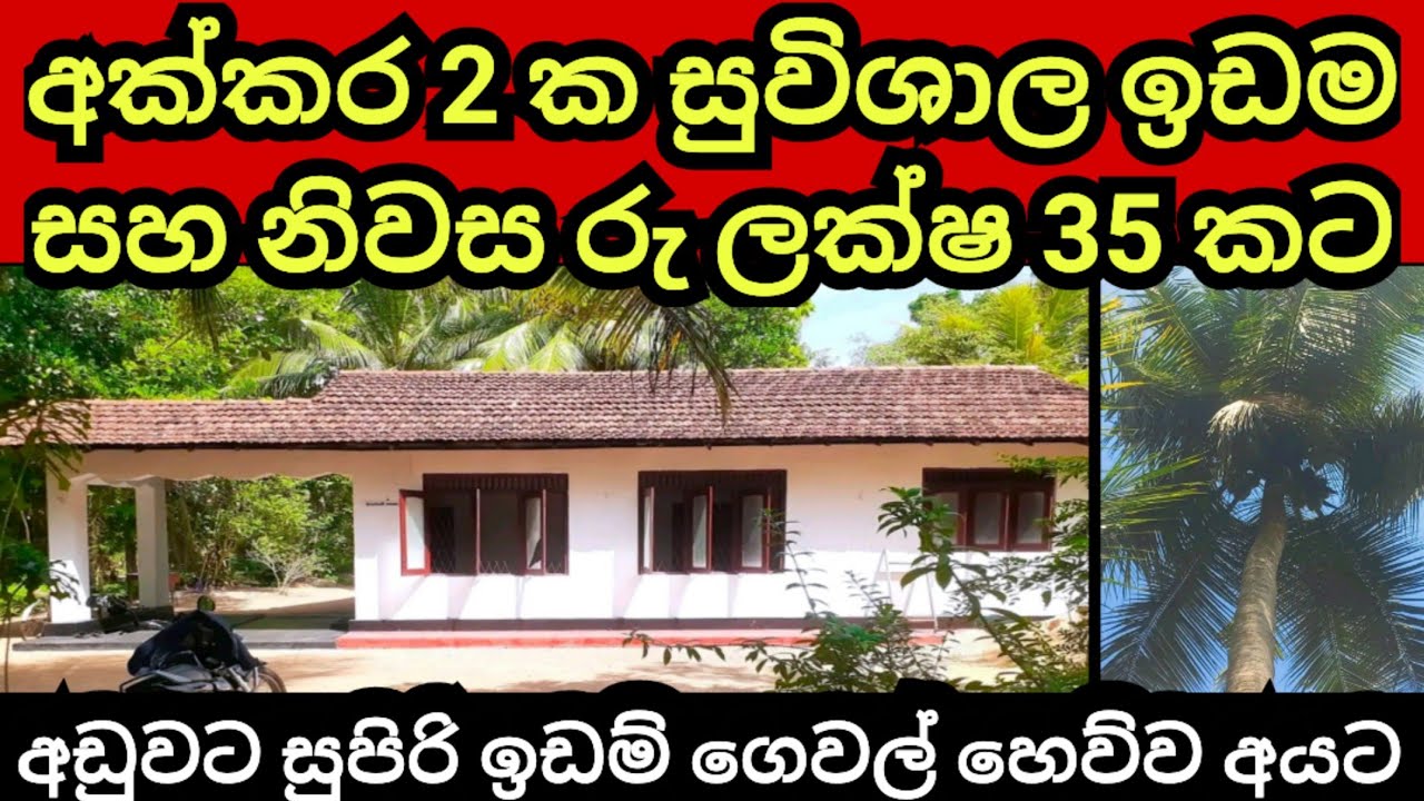 අක්කර 2 ක ඉඩම සමග නිවස රු ලක්ෂ 35 කට | Pol idam | Coconut land | Aduwata idam | House for sale| Land