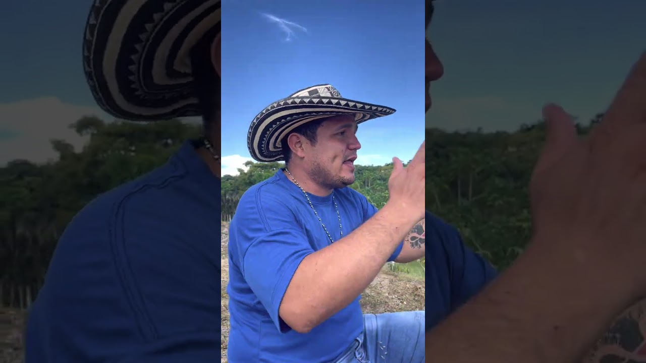 El sabanero quiere conocer a su mamá