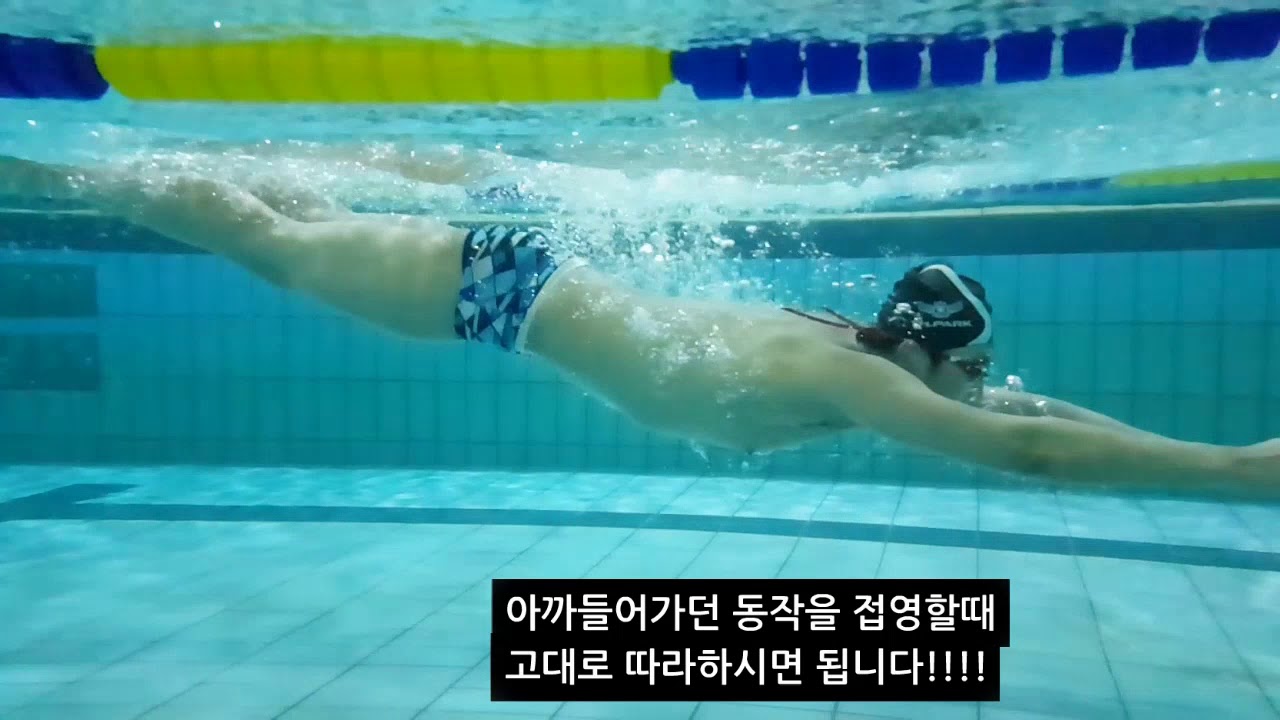 접영 잘하는 방법 2탄 눌러 주세요!
