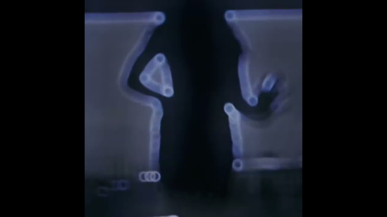 Crimen Pasional - L.F.M. (Visualizer Official) 