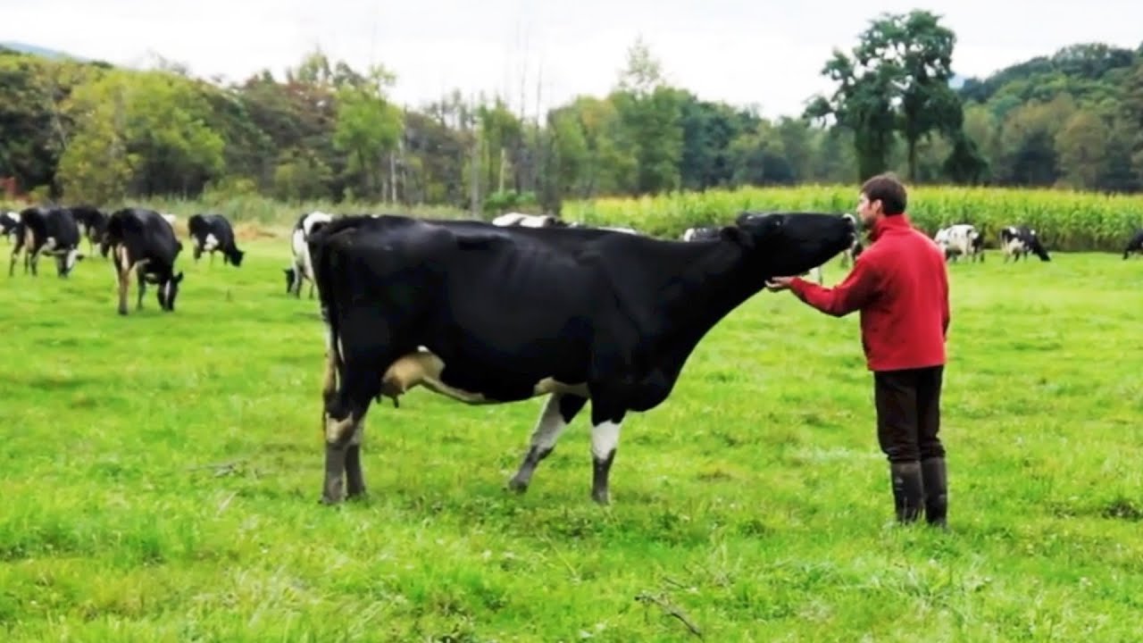 Russo Family Farm, Vermont | Organic Valley Farmers