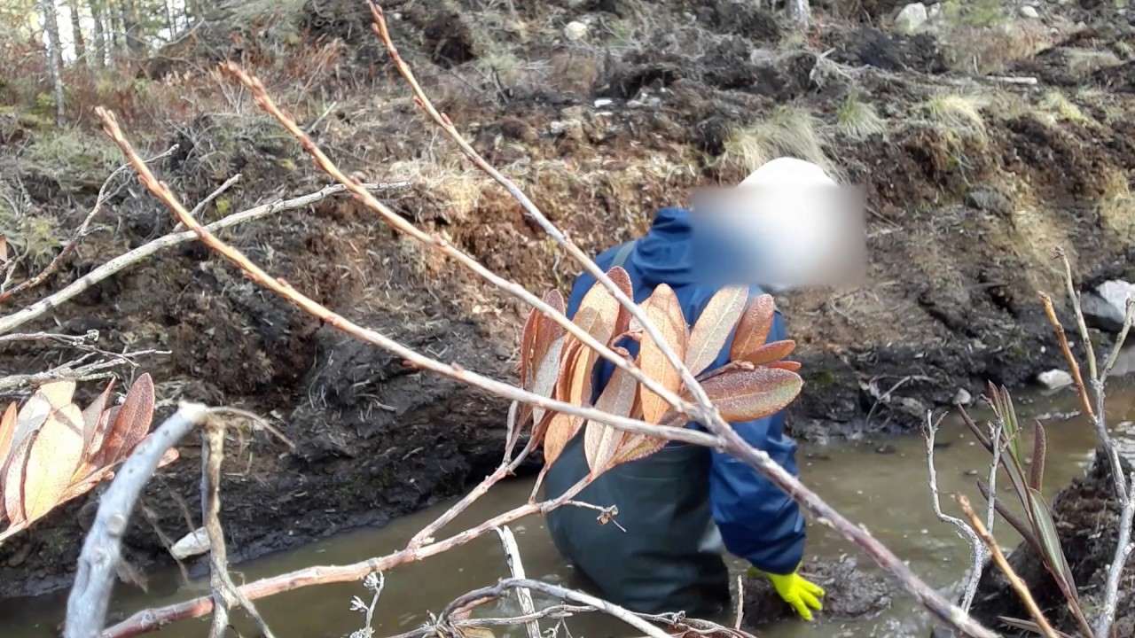 chest waders mud