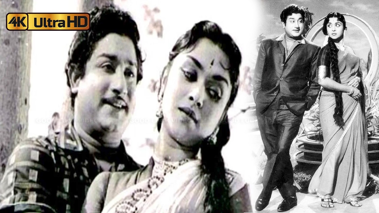 Sivaji, SarojaDevi | பாக பிரிவினை திரைப்படத்தின் பாடல்கள் | BhaagaPirivinai Full Songs | Kannadasan