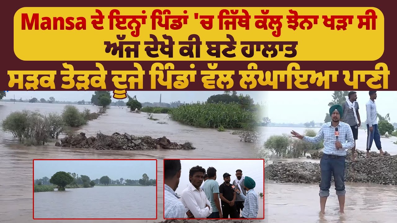 Mansa ਦੇ ਇਨ੍ਹਾਂ ਪਿੰਡਾਂ 'ਚ ਜਿੱਥੇ ਕੱਲ੍ਹ ਝੋਨਾ ਖੜਾ ਸੀ ਅੱਜ ਦੇਖੋ ਕੀ ਬਣੇ ਹਾਲਾਤ | Pro Punjab Tv