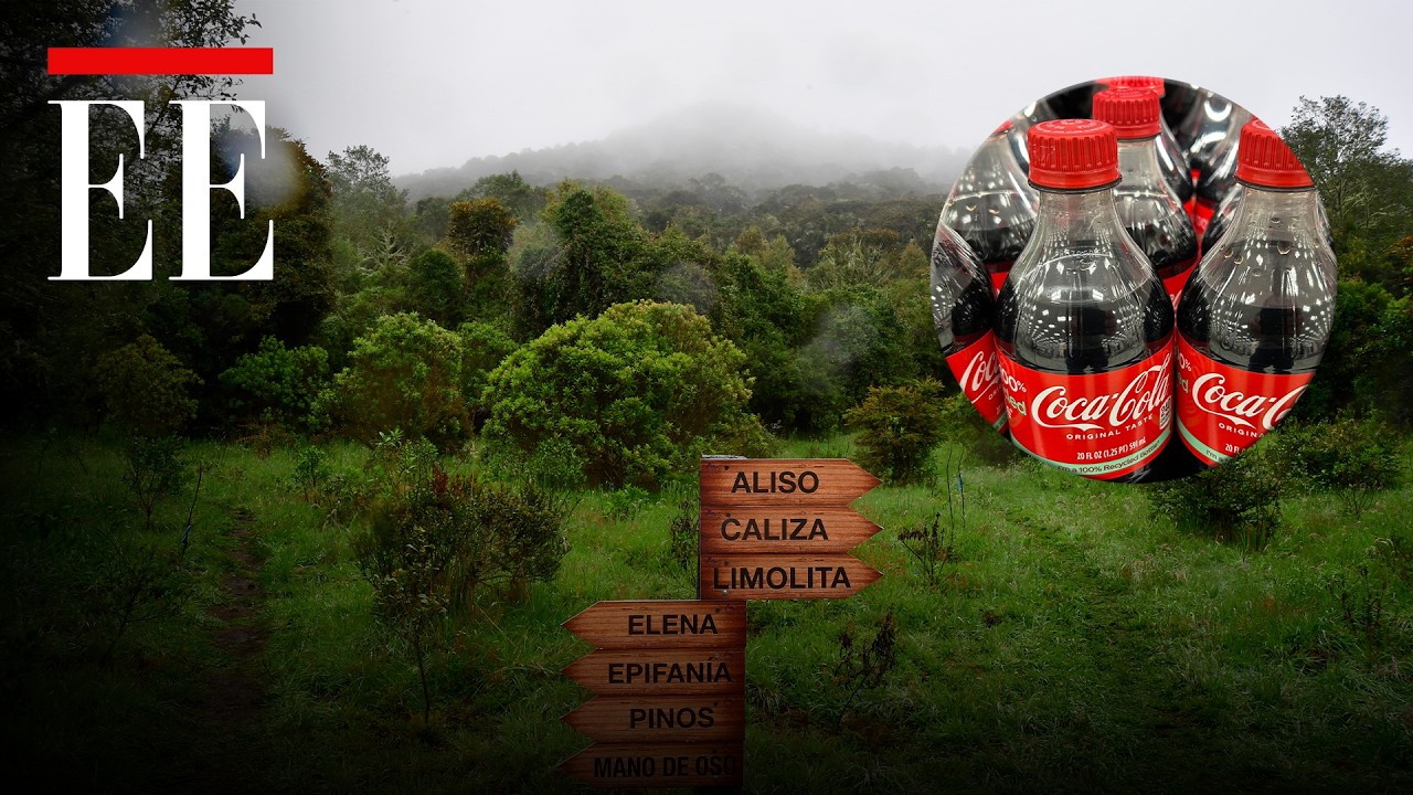 Coca-Cola podr&aacute; seguir usando agua de La Calera | El Espectador
