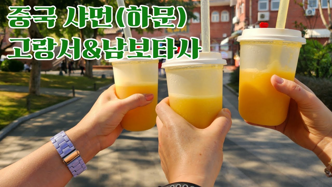 중국 샤먼(2026.1.18.)고랑서, 숙장화원, 일광암, 남보타사, 샤포웨이(예술거리)