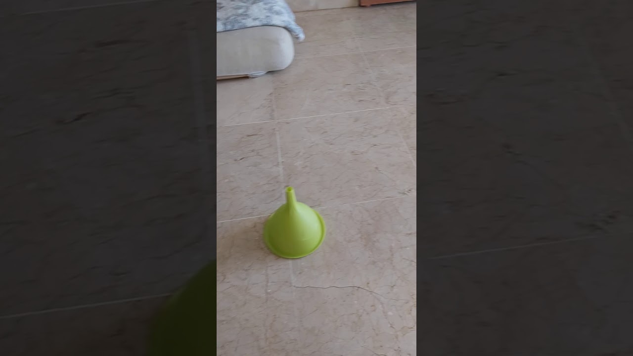 Cuervo prueba inteligencia.