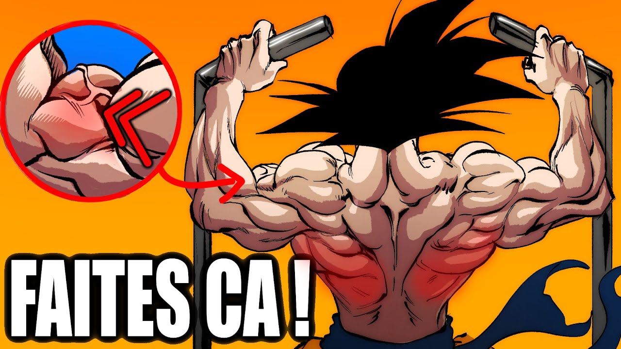Enchainer 20 TRACTIONS facilement en 30 jours ! (Tutoriel débutant + programme)