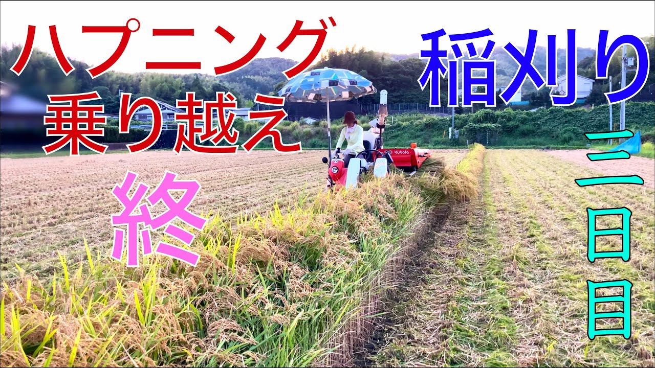 【２０２５ 米作り４５】稲刈り（三日目）コンバインのハプニングを乗り越えて終了したぞ👍