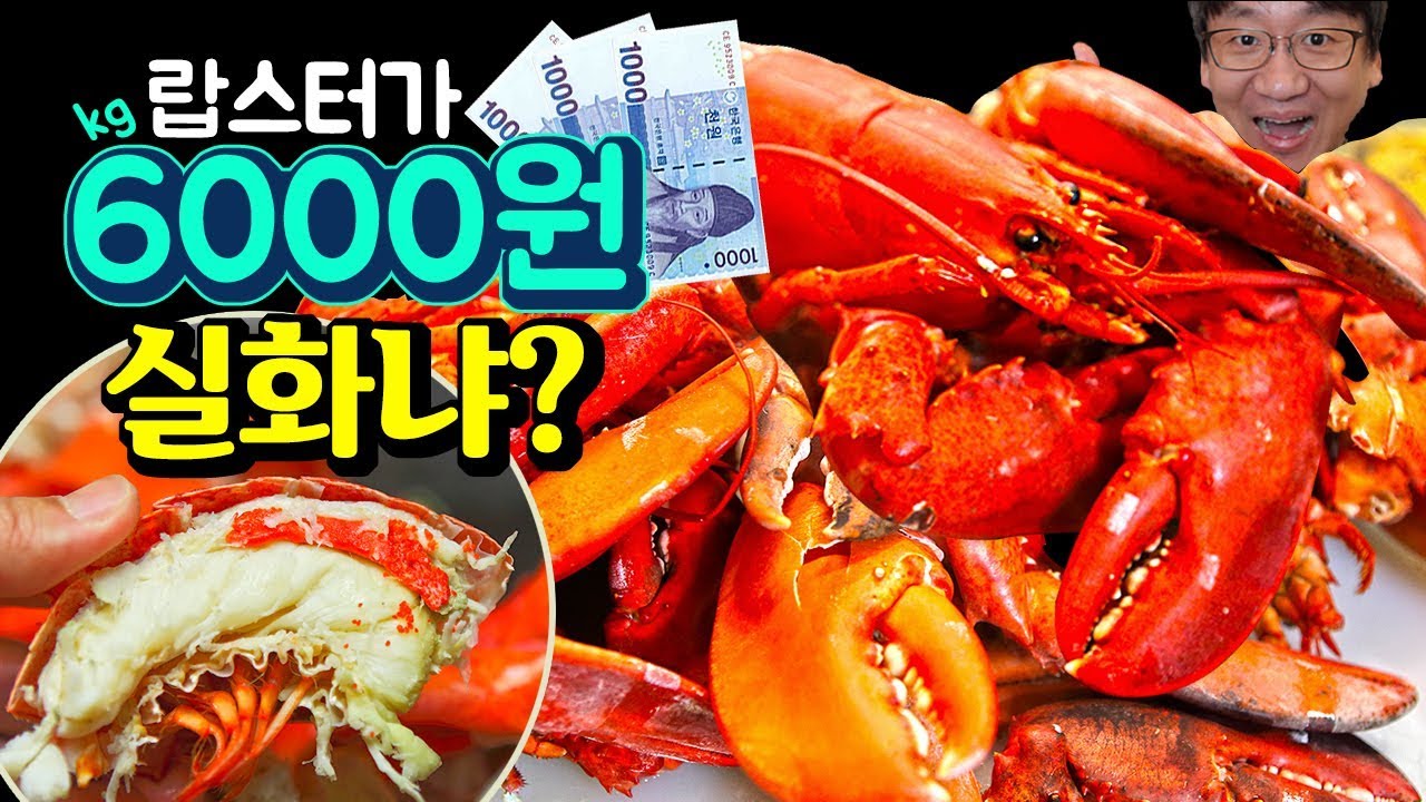 가장 저렴한 랍스터를 사왔습니다. 솔직한 후기(Korea's cheapest lobster)