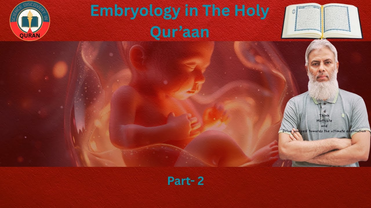 Human Embryology in the Holy Quran | Part – Two | Nutfah Stage - First Part