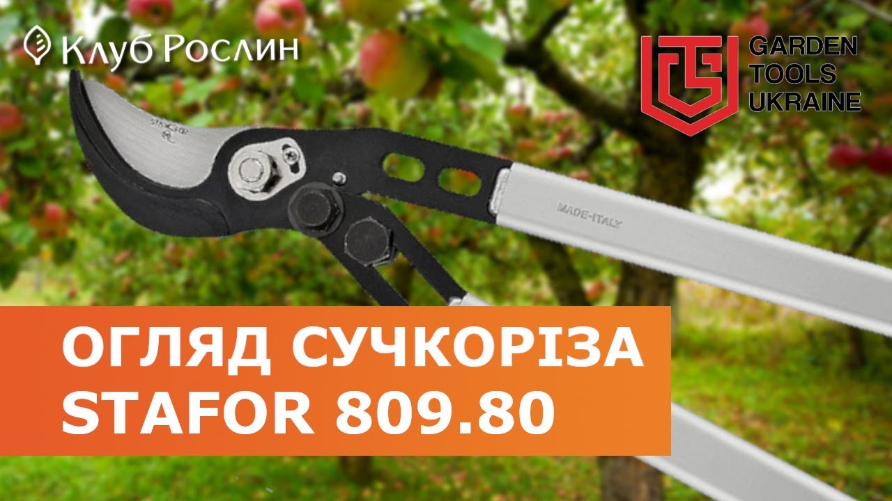 STAFOR 809.80 – обводной сучкорез с мультипликатором (Италия)