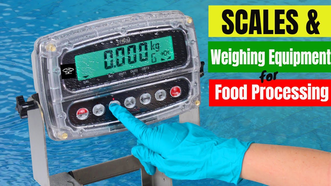 Scales & Weighing Equipment for Food Processing