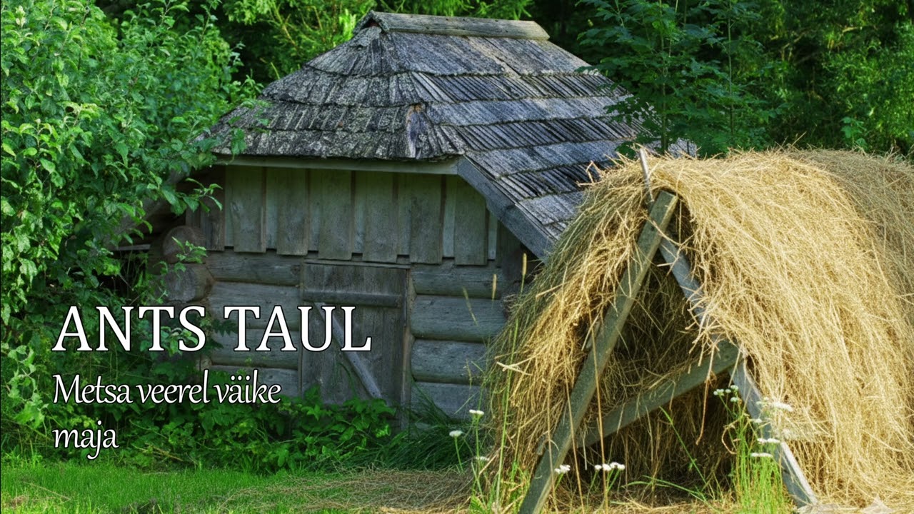 Ants Taul - Metsa veerel väike maja