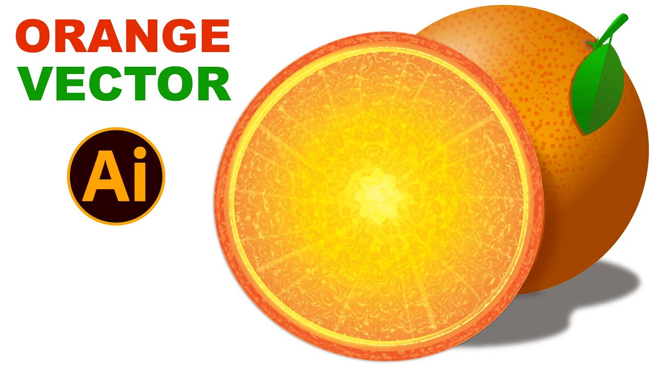 How to Create Realistic Orange Vector in Illustrator